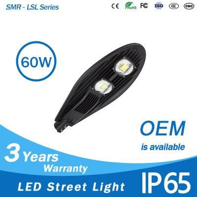 Waterproof COB LED Street Light 60W for Highway Lighting