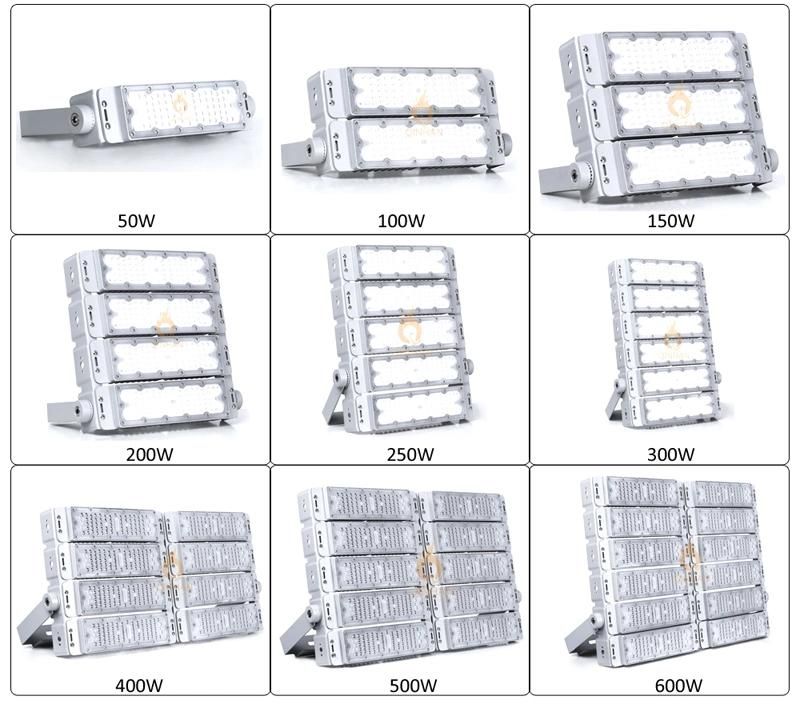 150lm/W 80W IP65 Dali DMX PLC 0-10V Dimmable Tunnel Lamp Flood Lights LED for Outdoor Square Garden Park Aquarium Tennis Court High Mast Aquarium Lighting