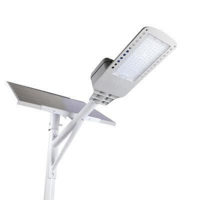 Ala 2022 Delicate Appearance 60W Solar LED Light with Light Pole