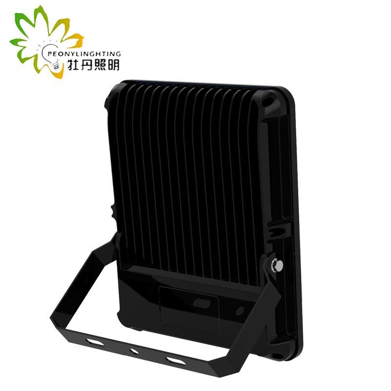 2019 Newest 5 Years Warranty LED 100W Flood Lighting with COB Chips