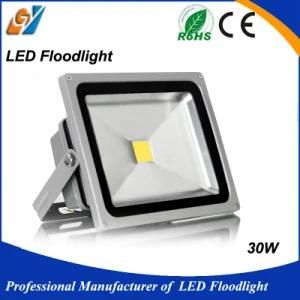High Cost-Effective Good Quality IP65 30W LED Flood Light for Projects