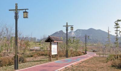 Ala 20W IP68 Waterproof LED Solar Street Light with Lithium Battery Control System for Roads and Garden
