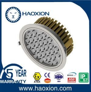 LED Down Light