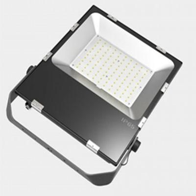 New Model Driverless 100W 3030 LED Flood Light