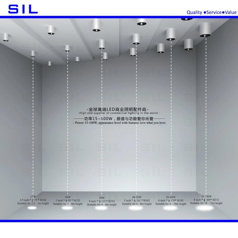 LED Wall Lamp up and Down Aluminum Decorate Wall Sconce Outdoor Garden LED Wall Light 30watt Outdoor Wall Lights