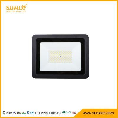 IP65 Waterproof 80W LED Floodlight Long-Distance LED Flood Light LED Outdoor Light