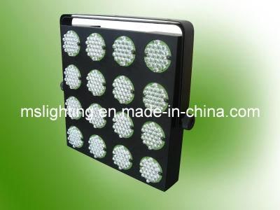 384PCS 10mm Ultra Bright LED Blinder Light / LED Stage Light