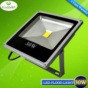 30W CE/RoHS Bridgelux Chip LED Slim Floodlights with 2 Years Warranty