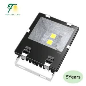 Economic 5 Years 100W LED Flood Light with Dimmable