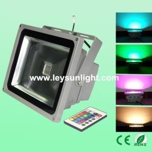 CE RoHS Factory Price 50W RGB Outdoor Lamp LED Projector Light