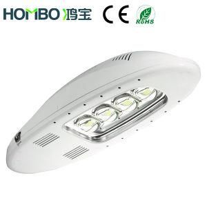 LED Street Light (HB-086-120W/160W)