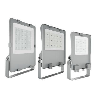 Zgsm Handybrite Floodlight CE/RoHS Outdoor 30W 50W 100W 150W 200W 300W 400W Reflector LED Flood Light