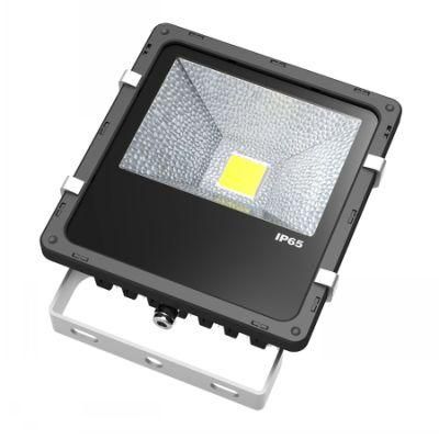 Waterproof Black Color 30W LED Flood Light Outdoor Bridgelux LED