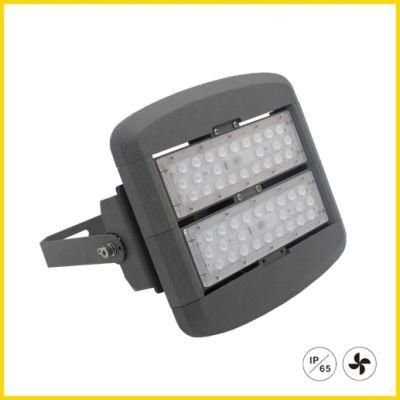 High Efficiency Modules 50W LED Floodlight for Outdoors