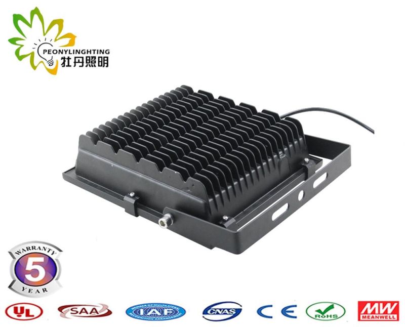 Good Quality with 5 Years Warranty 100W SMD LED Floodlights, 100W LED Floodlight