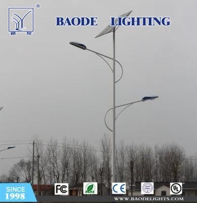 21 Years Factory Wholesale Custom Design 30W Solar LED Street Light Competitive Price