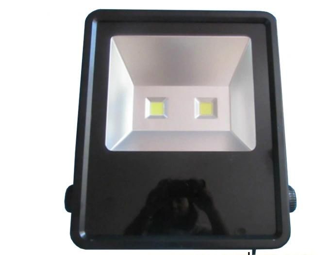 100W LED Floodlight with Promotion Price Epistar Chip (SLEFLK100W)