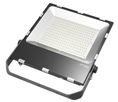 5 Years Warranty High Quality High Power 200W Driverless LED Floodlight