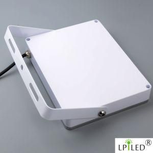 LED Floodlight Illumination Apple Series