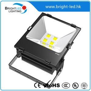 CE, RoHS Outdoor Fitting 100W LED Flood Light