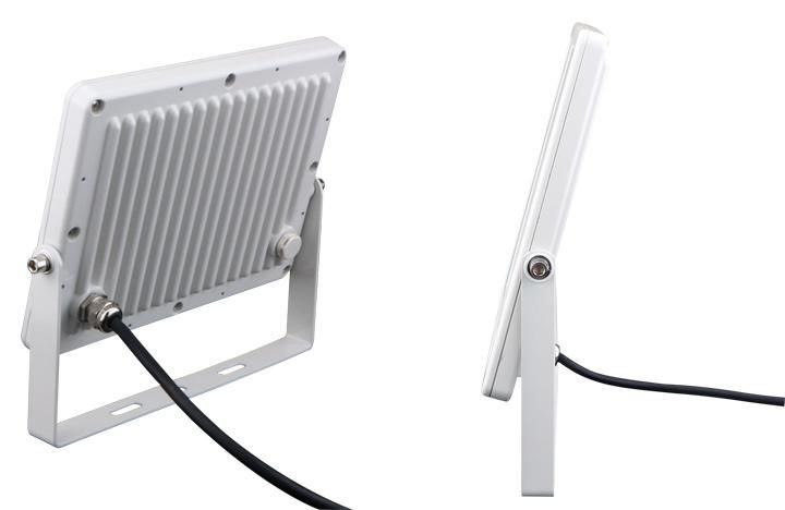 Professional LED Flood Light 100W for Monitoring and Control System