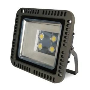 Outdoor Lighting Security LED Flood Light for Garden Lighting