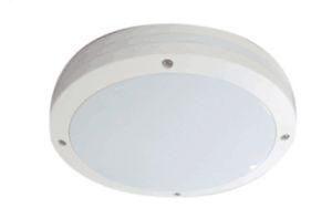 IP65 Rated Surface Mounted 3000lm Light (Hz-ygxy-30-m30)