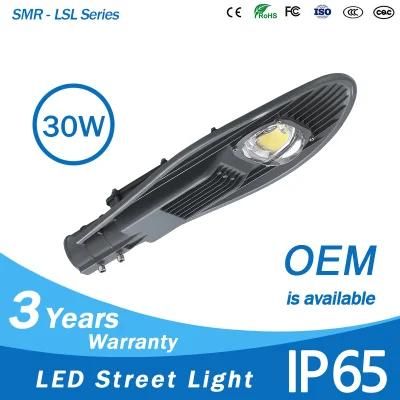 High Efficiency Outdoor Sports Light IP65 Outdoor Sports Light 3 Years Warranty Outdoor Sports 30W COB LED Light Garden Lights