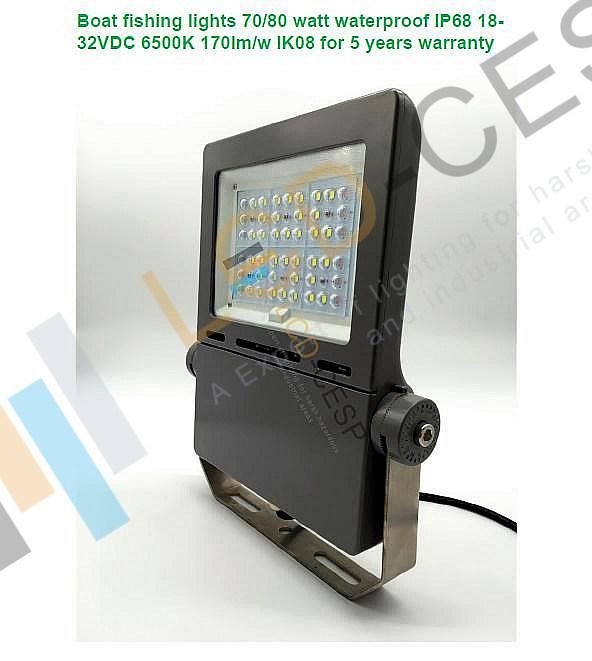 LED SMD3030 Marine Flood Light 100W Water Proof IP68 LED Lighting 220V Beam Angle 30 Degree LED Lamp 6500K with UL TUV Certificates Flood Light MW Driver