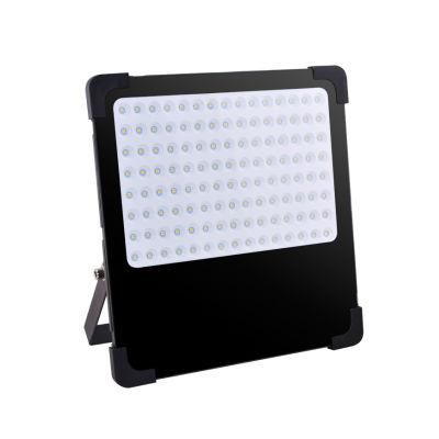 100W Economical 2 Years Warranty Waterproof 100W LED Flood Light