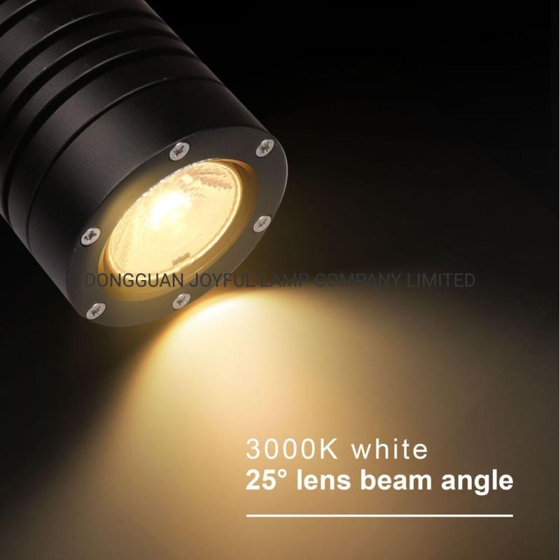 10W Outdoor High Quality Aluminum Garden LED Spot Light with Spike Pathway Landscape Spotlight LED Garden Light