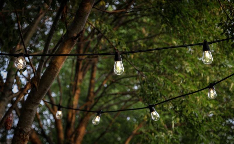 Warm Nature Daylight White Hanging Light for Cafe