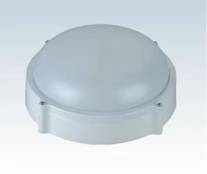 GS, CE Eco-Friendly Waterproof IP65 10W LED Bulkhead Light for Housing