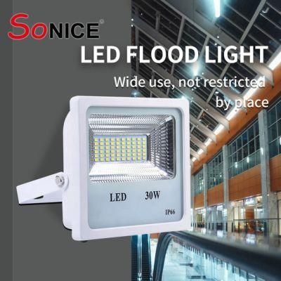 Die Casting Aluminium SMD LED Green Land Outdoor Garden 4kv Non-Isolated Isolated Water Proof Bell and Howell Bionic Floodlight