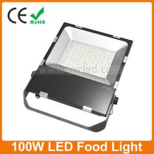 Ultra Thin 100W LED Light Lamp