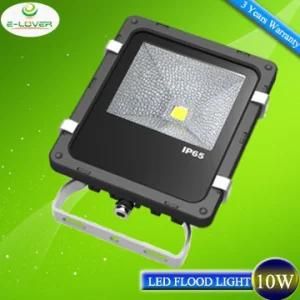 Epistar Chip 10W LED Floodlights with CE&RoHS
