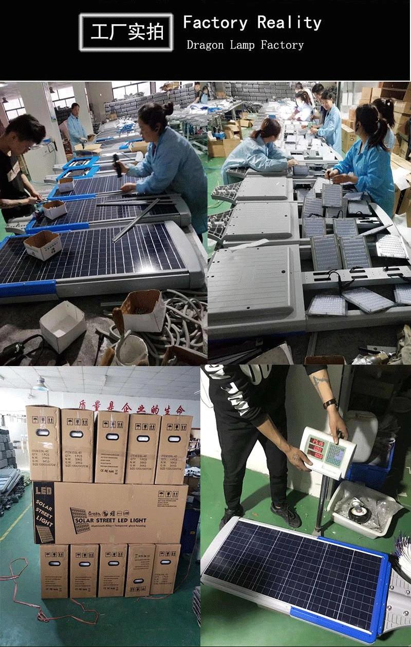 Chinese Supplier Solar Outdoor Light Garden Light Energy Save