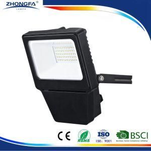 30W Outdoor LED Lighting