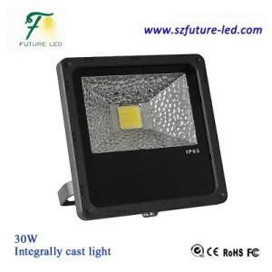 30W Bridgelux Chip High Power LED Tunnel Light