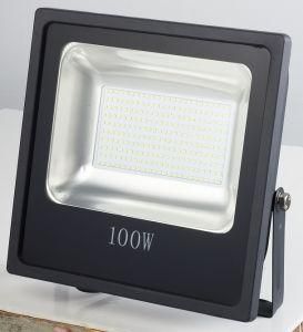 CE, RoHS Outdoor Fitting 100W LED Flood Light