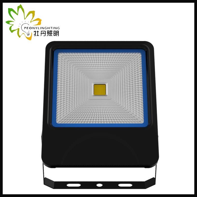 2019 Newest 5 Years Warranty LED 50W Flood Lighting with COB Chips