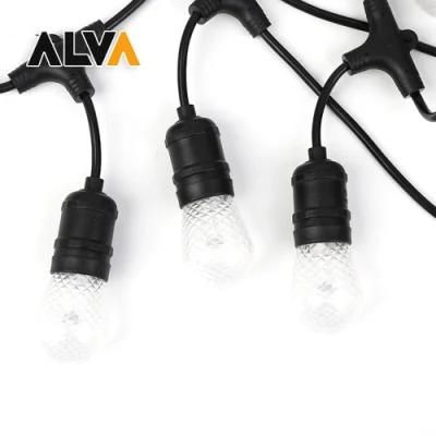 GS Approved 24V APP WiFi Control Strawberry S14 Bulb Lamp Outdoor IP65 Fairy Festival Holiday Light with E27 Decoration String with VDE