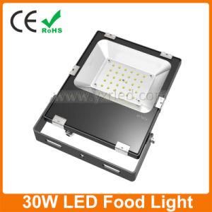 30W Flood Light LED
