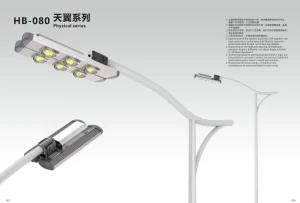 Solar Street Light Battery Long Life Time COB Anti-Corrode LED Street Light