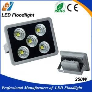 Good Quality Narrow Bean Angle High Brightness 250W LED Flood Light