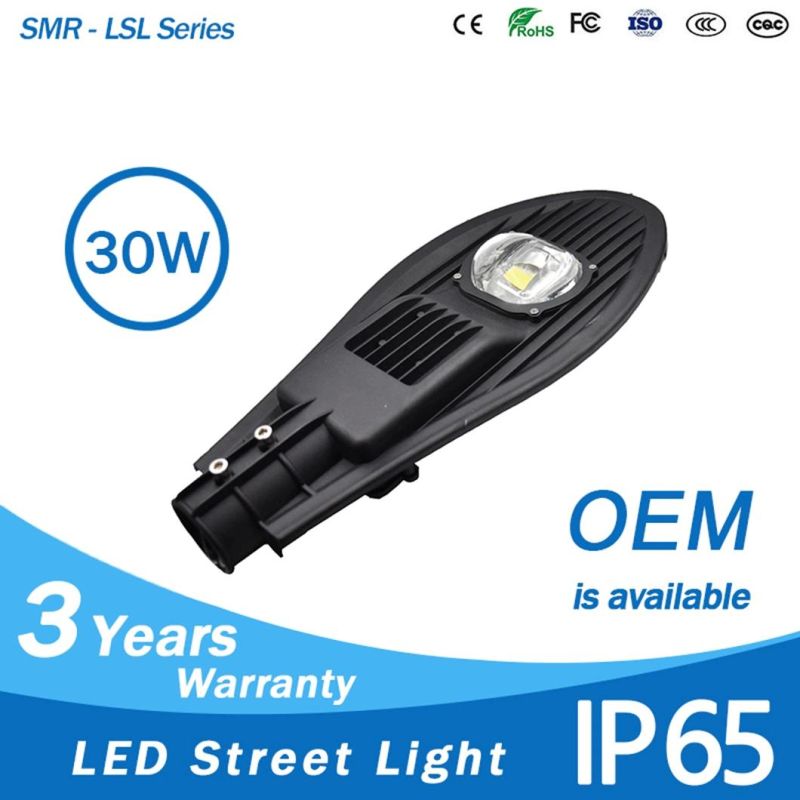 High Quality IP65 Waterproof Outdoor Lamp Optical Lens 30W Luminaire COB Leaf LED Die Casting Aluminum Street Light