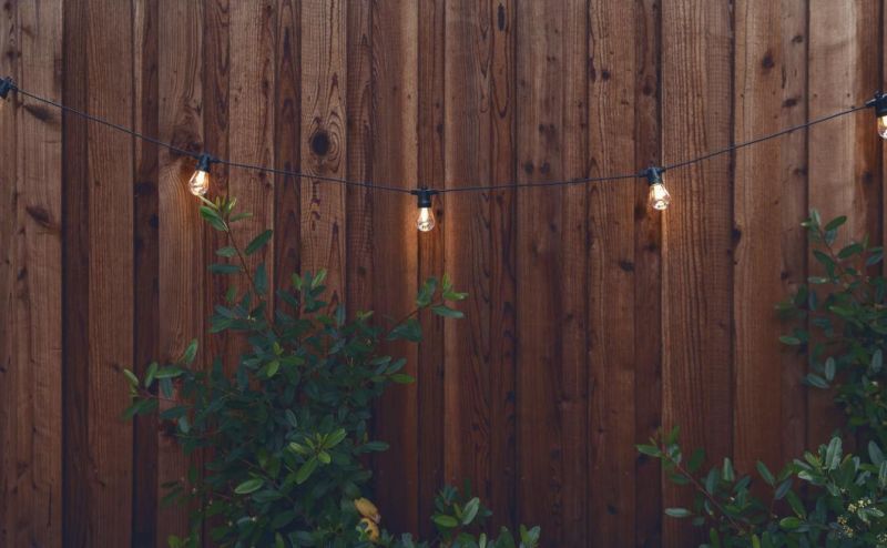 Warm Nature Daylight White Hanging Light for Cafe