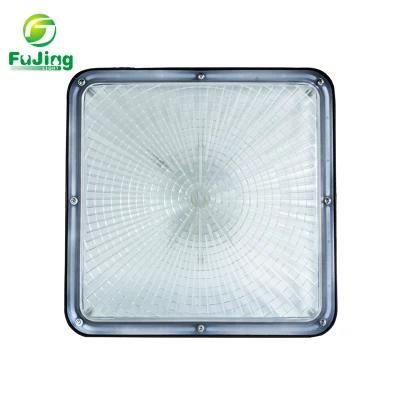 LED Canopy Lights 60W