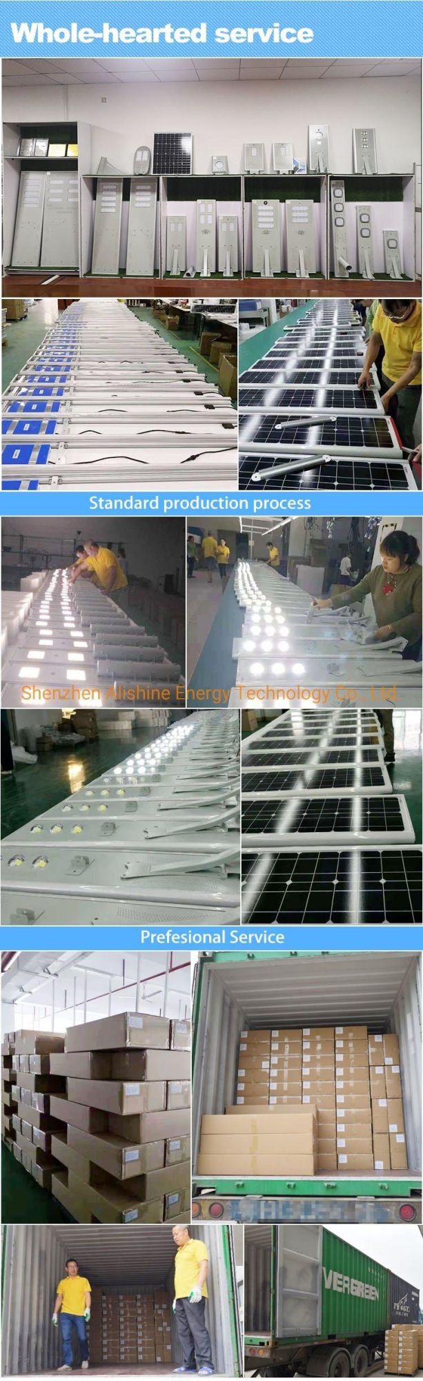 30W Outdoor Garden Lamp Products LED Lighting Solar Street Light
