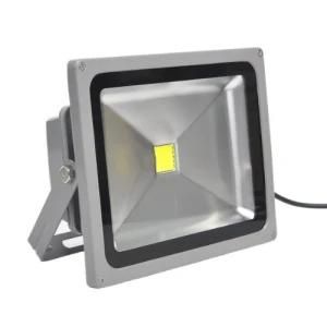 10W LED Floodlight with Different Color
